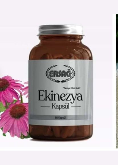 Ехінацея в капсулах від компанії ERSAG (315817739)