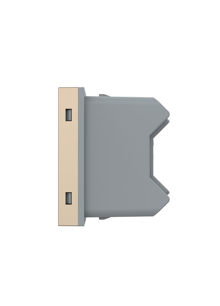 Універсальна розетка 2 в 1, золота, без заземлення, з захисними шторками, модуль 0.5 поста, 16А 250В (VL-FCT25 16A-1AP) Livolo (370970810)