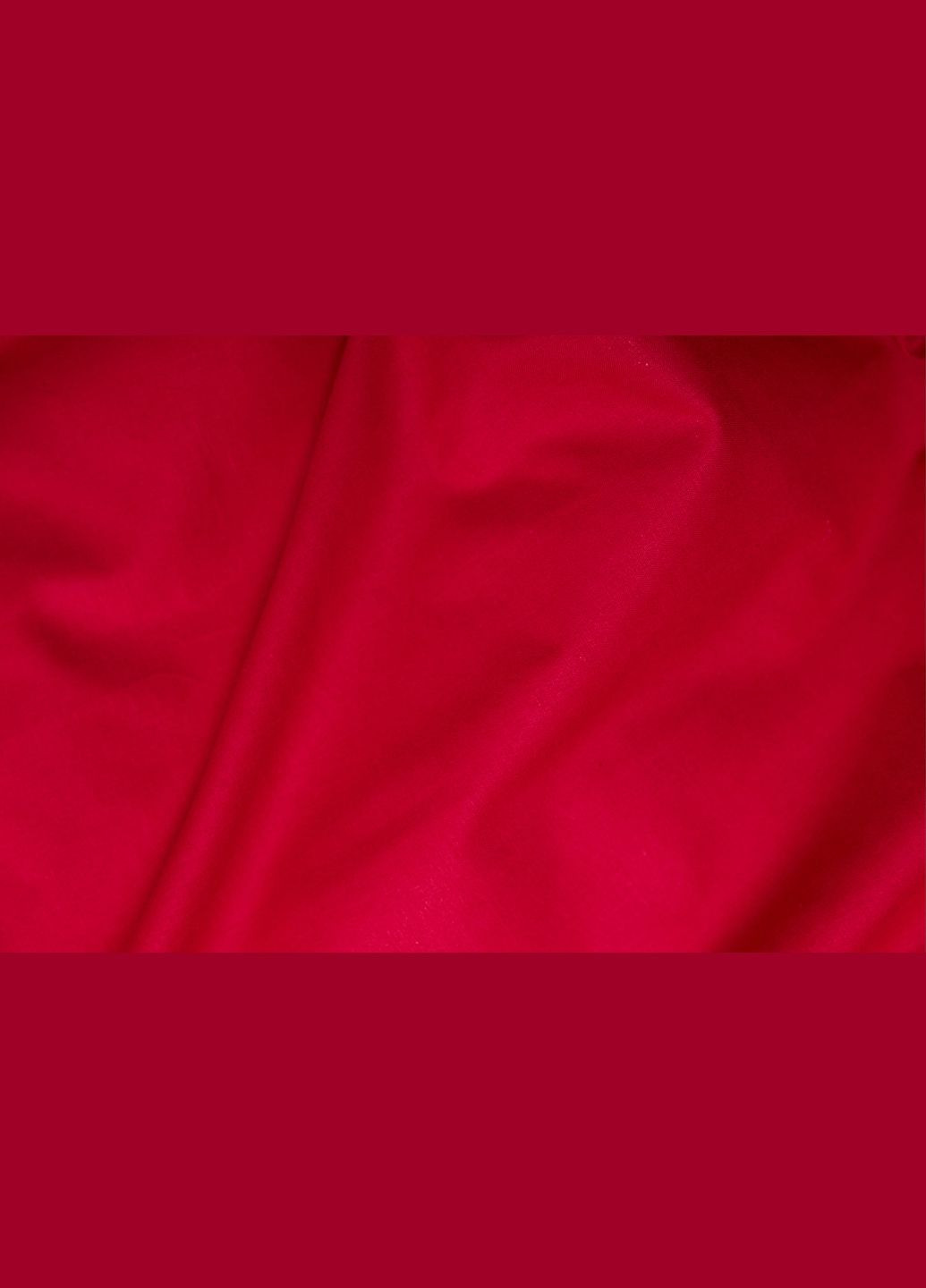 Комплект постельного белья Бязь Gold Люкс семейный 160х220х2 наволочки 2х50х70 (MS-820003146) Moon&Star cherry red (288044101)