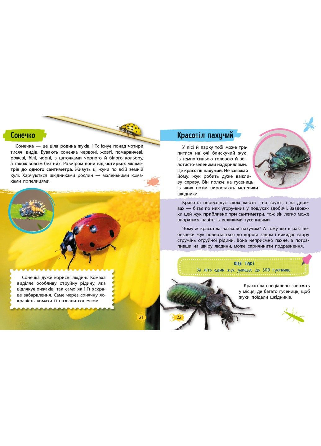 Миниэнциклопедия. Насекомые и пауки. Воронков Константин Vivat (297214265)