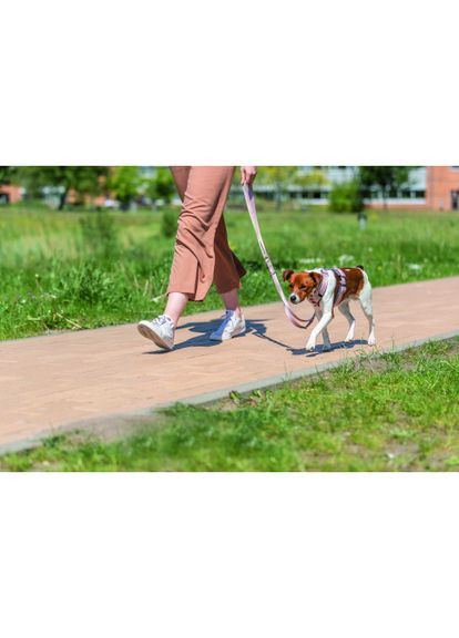 Повідець Premium регульований для собак L–XL 2 м 25 мм світло-рожевий Trixie (364749417)