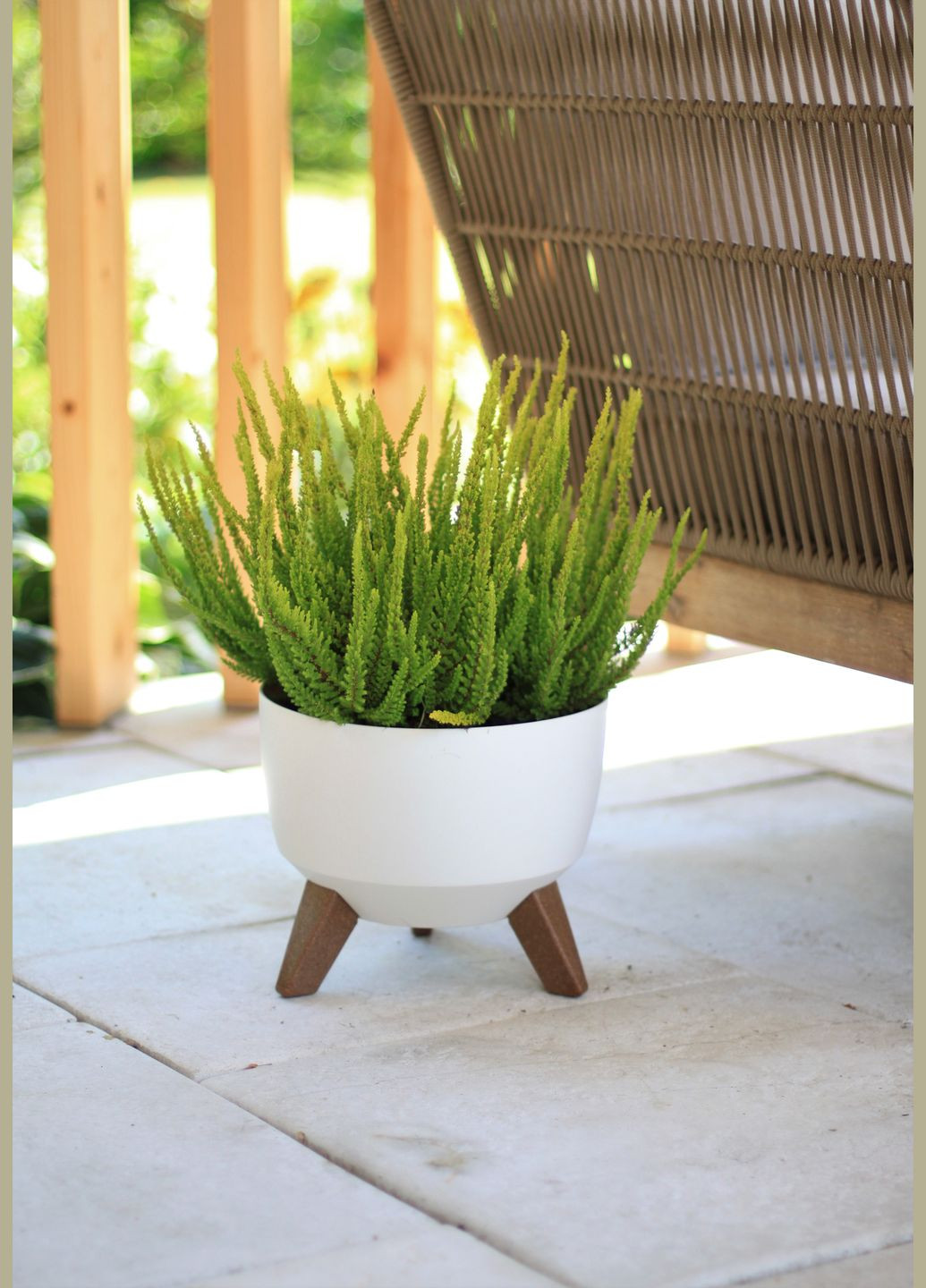 Чаша 290 белый, пластик Lamela Рома (345726175)