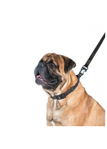 Повідець для собак (42131) Evolutor 300 см 25 мм чорний (366489304)