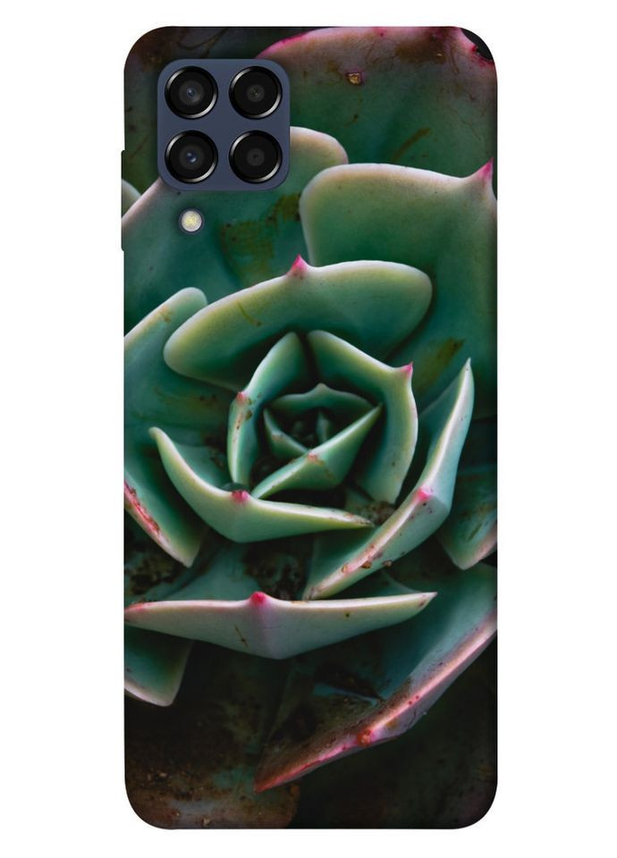 Чохол з принтом для Samsung Galaxy M33 5G / для самсунг галаксі М33 Ехеверія No Brand (339065108)