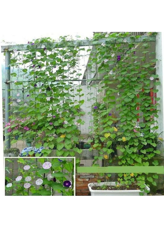 Сетка для Вьющихся Растений 🔥 Полиэтиленовая Плетеная Нить 🔥 Высокая Плотность ❤️ Размер 1,8х3,6 м ❤️ Comshop (364316046)