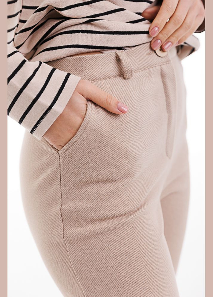 Класичні жіночі штани теплі Arjen (289385854)