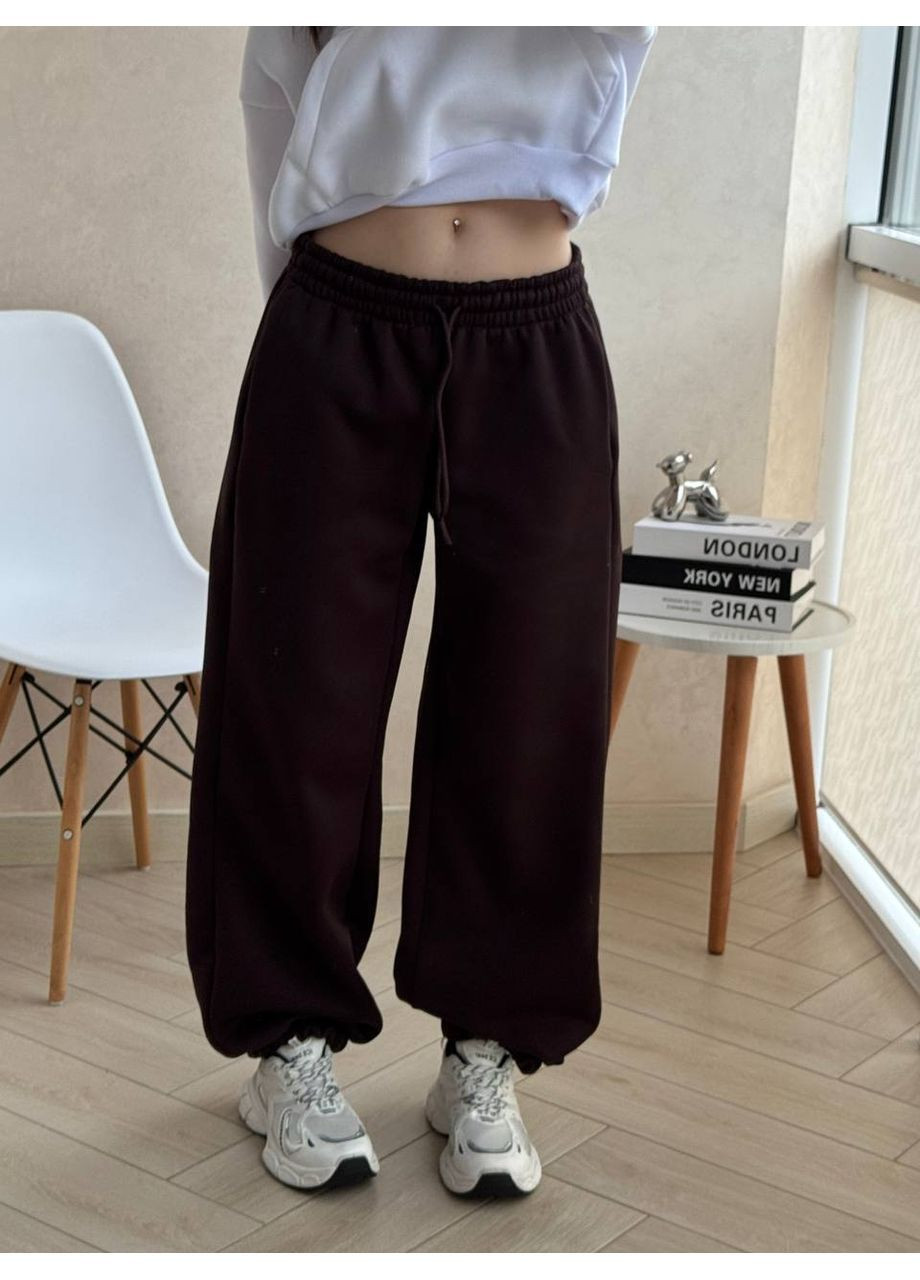 Штани Джогери оверсайз якісна тринитка на флісі Україна (366293521)