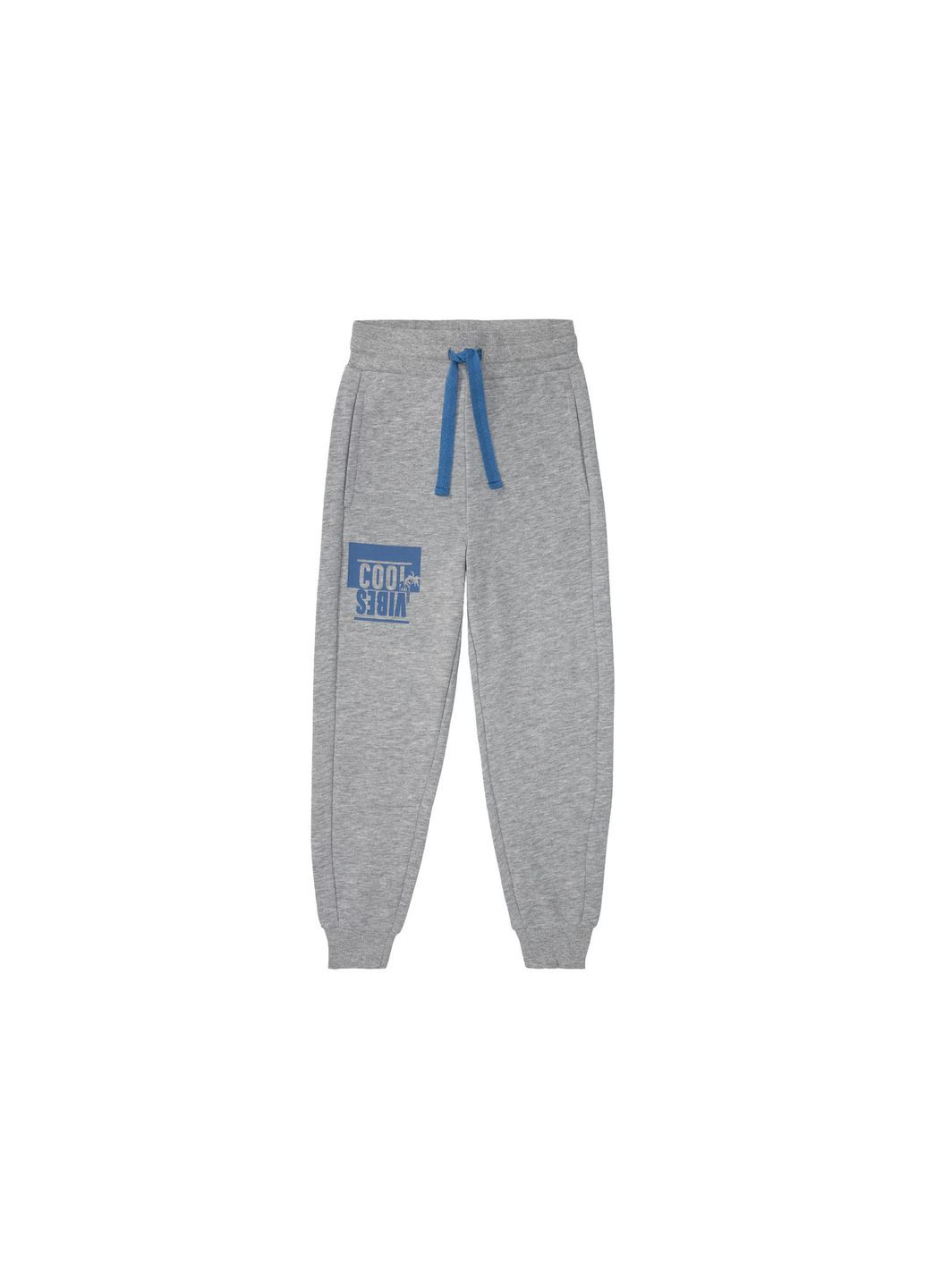 Серые спортивные демисезонные брюки джоггеры Pepperts