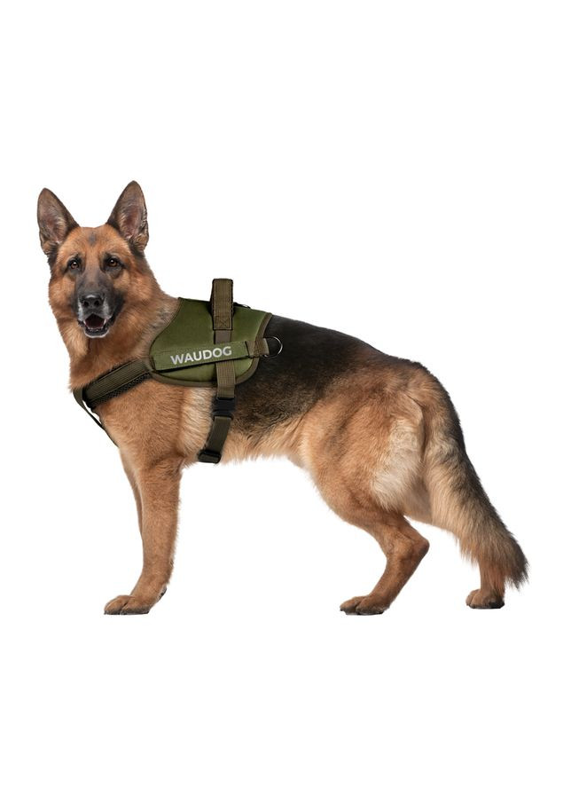 Шлея для служебных собак PRO-2, светоотражающая, металлический фастекс, S, В 44-60 см, хаки WAUDOG (343060418)