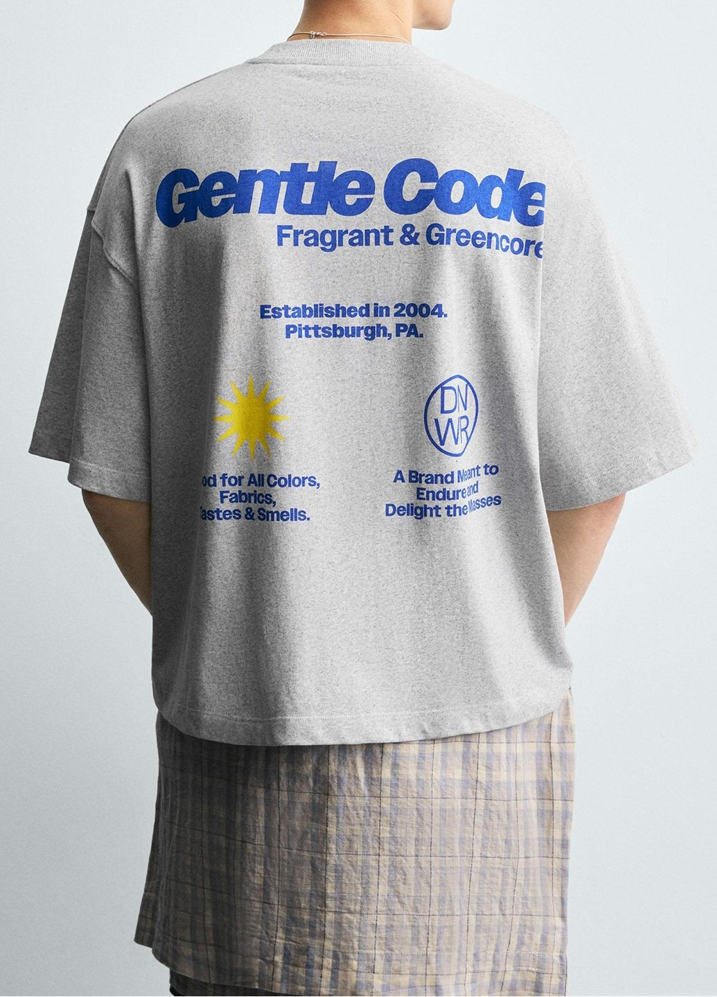 Сіра футболка Zara