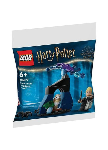 Конструктор Драко в Запретном лесу 30677 33 детали Разноцветный shop (5702017591506) Lego (362979840)