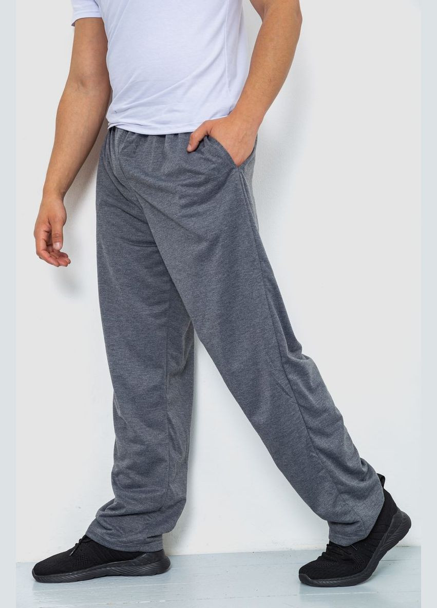 Серые спортивные демисезонные брюки Ager