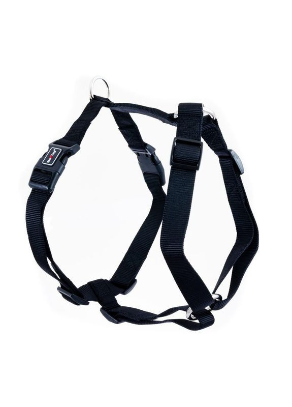 Шлей для собак из нейлона Harlem Nylon H Harntsses 2,5х67-90 см (8009632059310) GimDog (327069378)