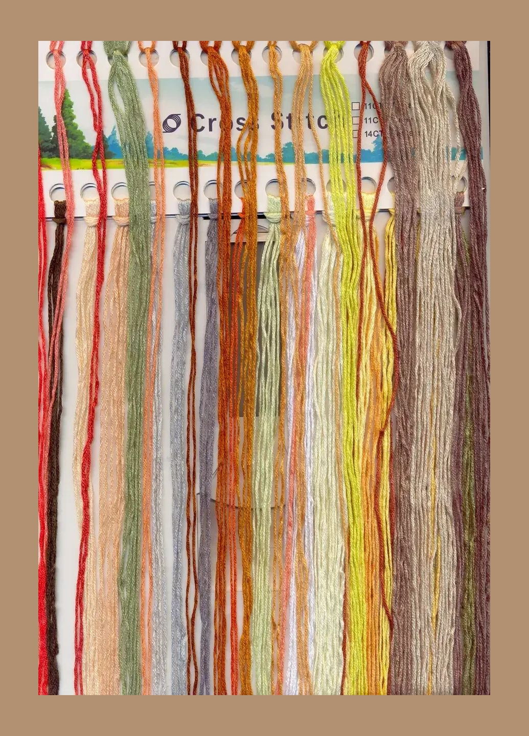 Набір для вишивання за нанесеною на канву схемою "The sabbatic girl". AIDA 14CT printed, 43*38 см Joy Sunday (313614256)