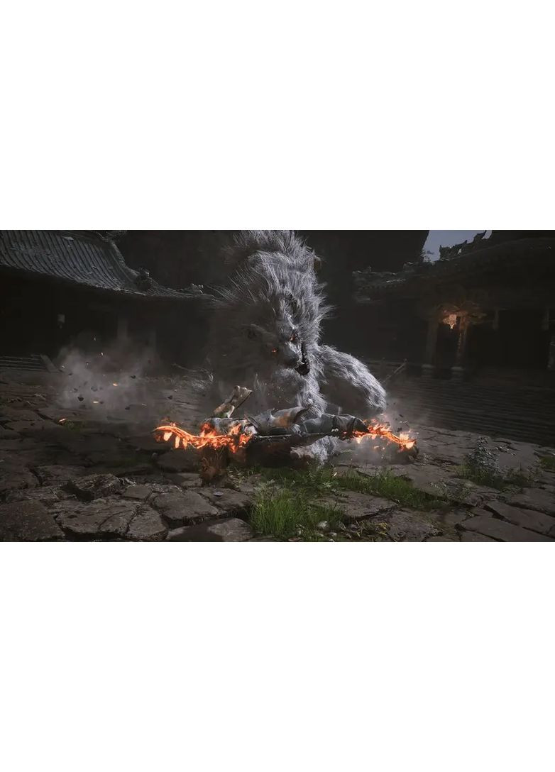 Гра консольна PS5 Black Myth: Wukong, BD диск Sony (362731896)