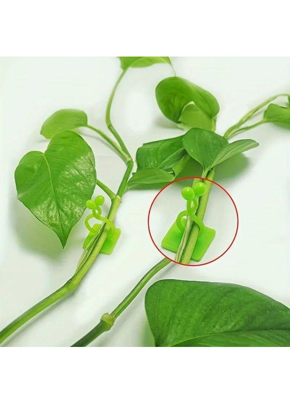 Кліпси для підв'язування рослин 50 шт настінні самоклеючі, підтримка для рослин зеленого кольору No Brand (370290447)