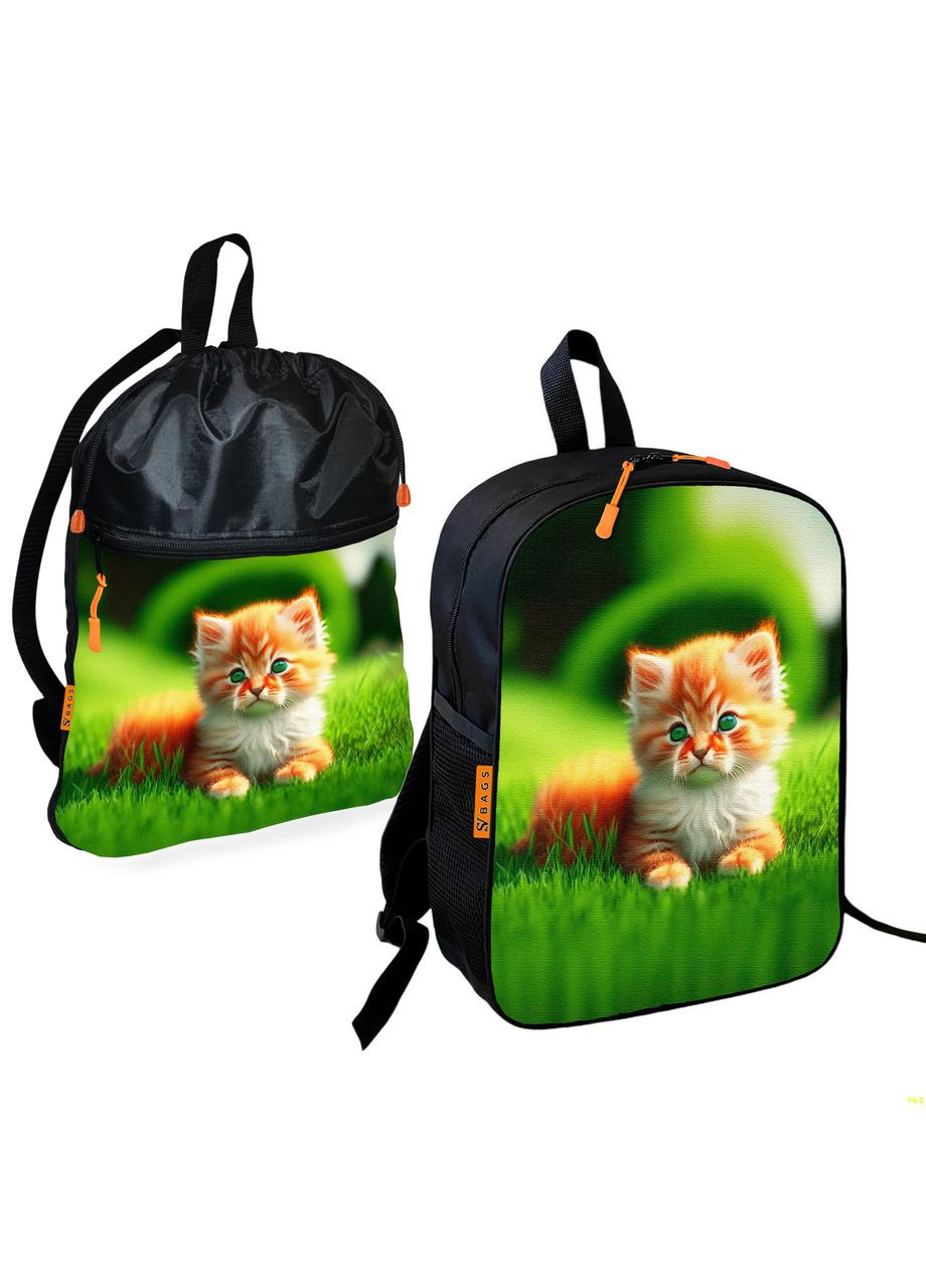 Школьный рюкзак детский с котенком + Сумка для обуви спортивной формы рюкзак-мешок для мальчика (1916) No Brand (328200567)