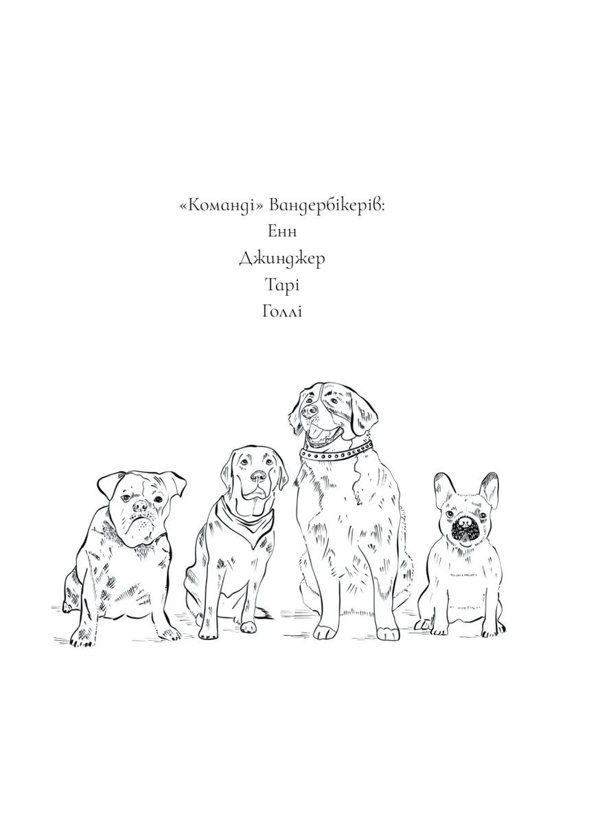 Вандербикеры потеряны и найдены. Книга 4 Навчальна книга - Богдан (370106730)