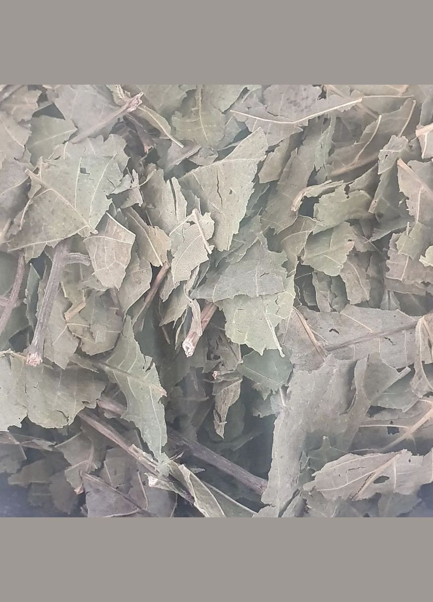 100 г волоський горіх листя сушене - свіжий урожай No Brand (322774462)