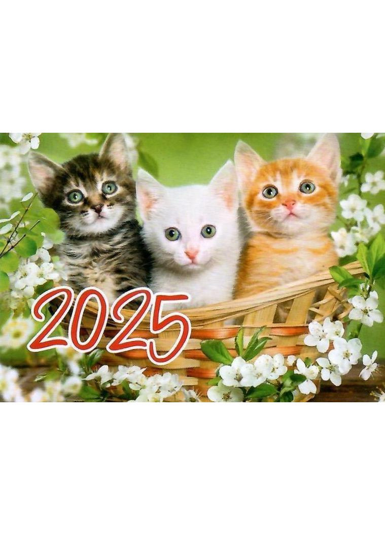 Кишеньковий календар Кошенята 2025 рік 70х100мм 2922600803998 Експрес Удачі (372711889)