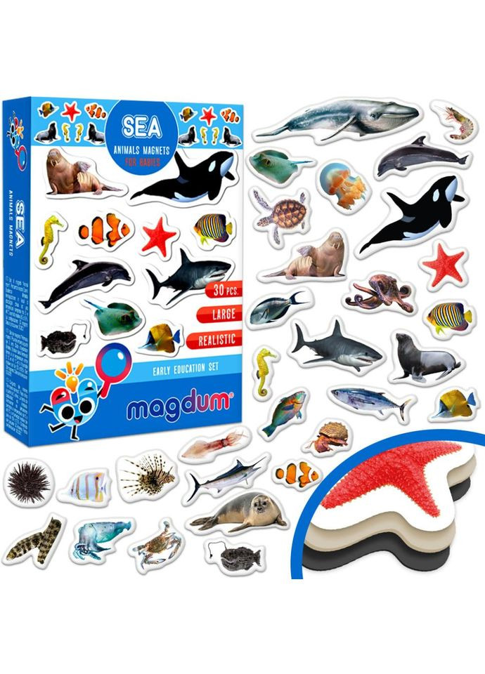 Дитячий набір магнітів Морські мешканці фото ML4031-28 EN MAGDUM (330610452)