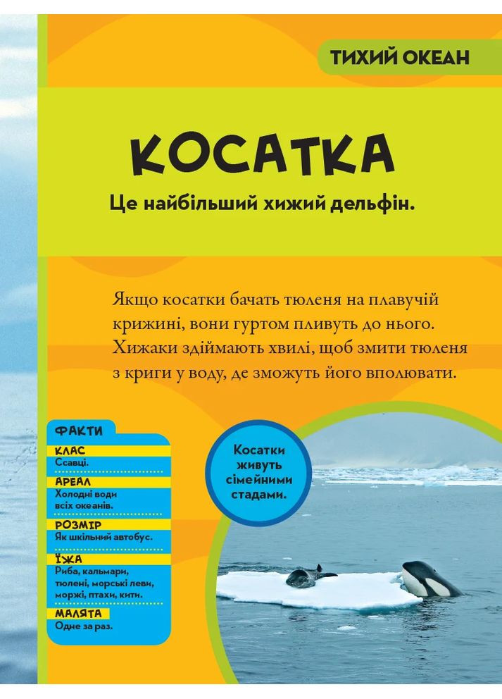 National Geographic. Моя первая энциклопедия. Океаны Видавництво "Егмонт Україна" (370152012)