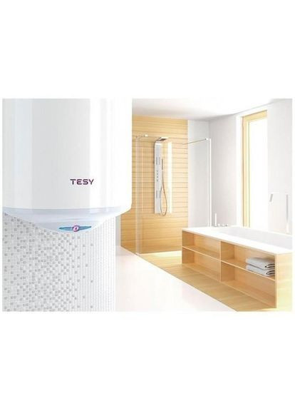 Водонагрівач (бойлер) електричний накопичувальний BiLight 80 V TESY (315142101)