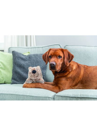 Іграшка Коала плюшева з перероблених матеріалів для собак 25 см (*) Trixie (330747505)