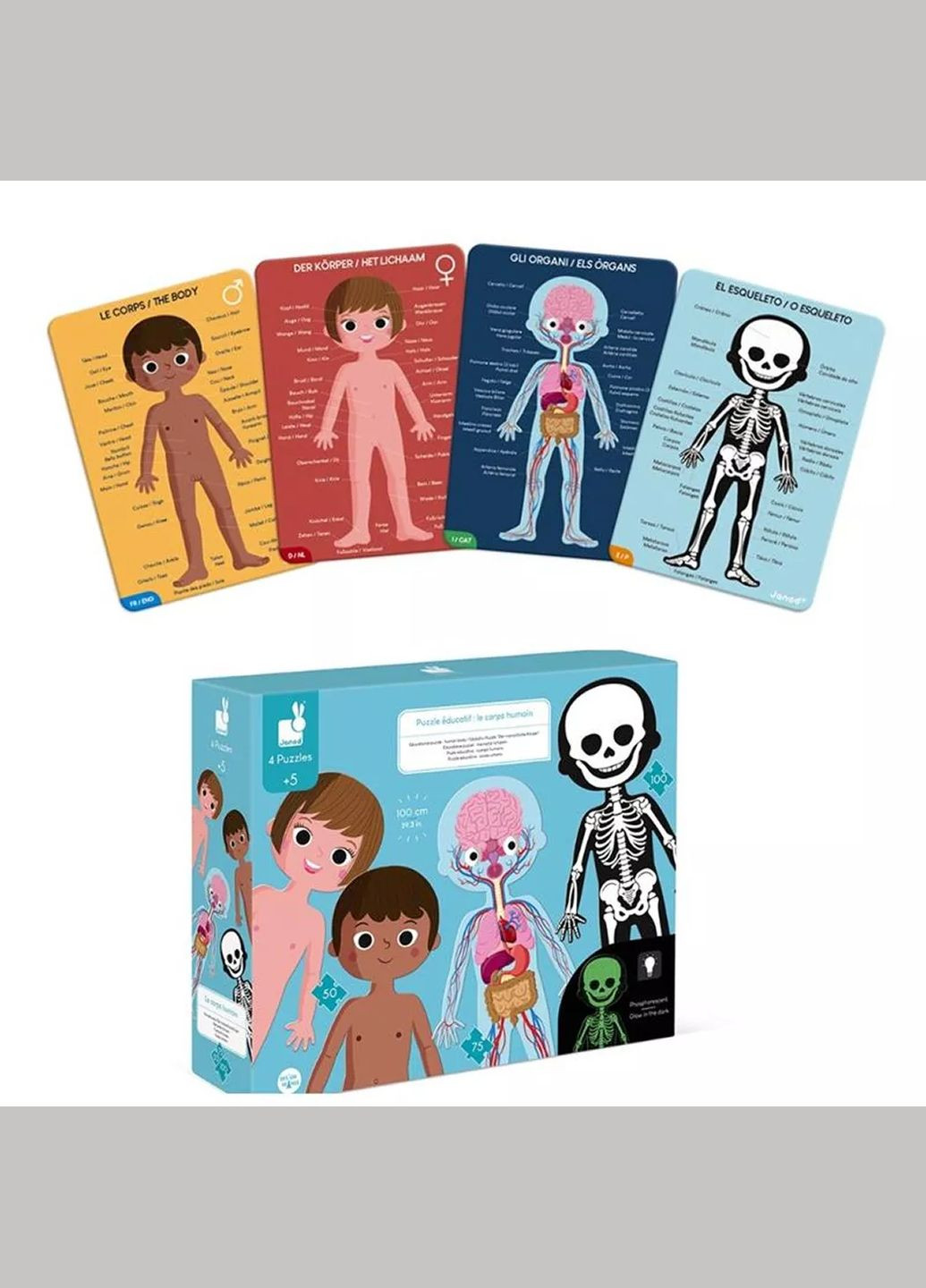 Набор пазлов Тело человека 4в1 225 эл (J02681) Janod (342715889)