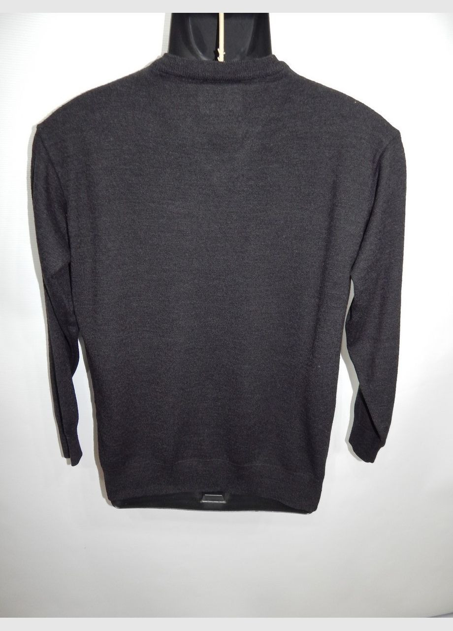 Серый зимний свитер мужской шерстяной raimondo alfieri р. 48 085см No Brand