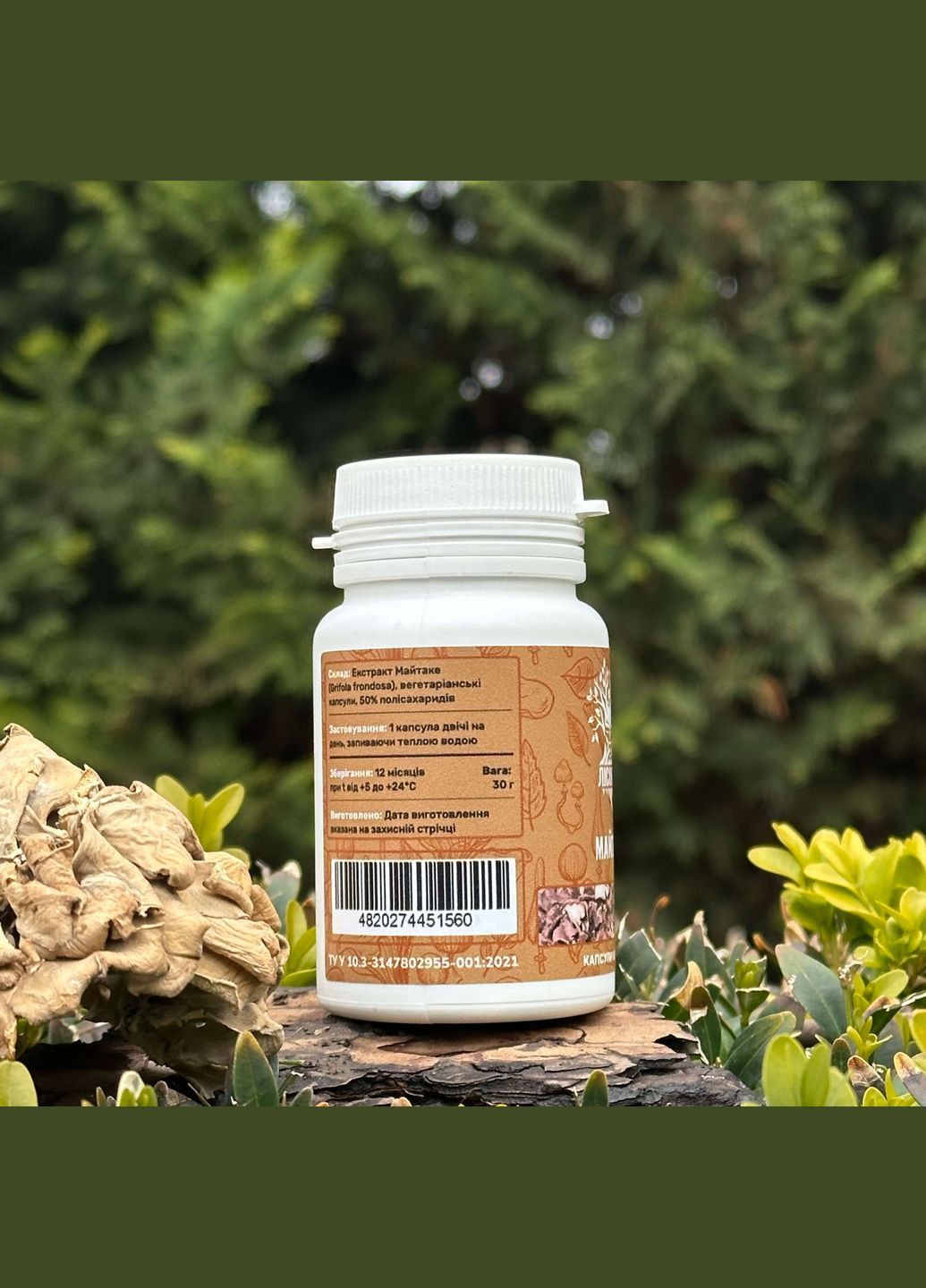 Майтаке, экстракт 10:1, капсулы 60 шт по 0.5 г Лісовик (334292849)