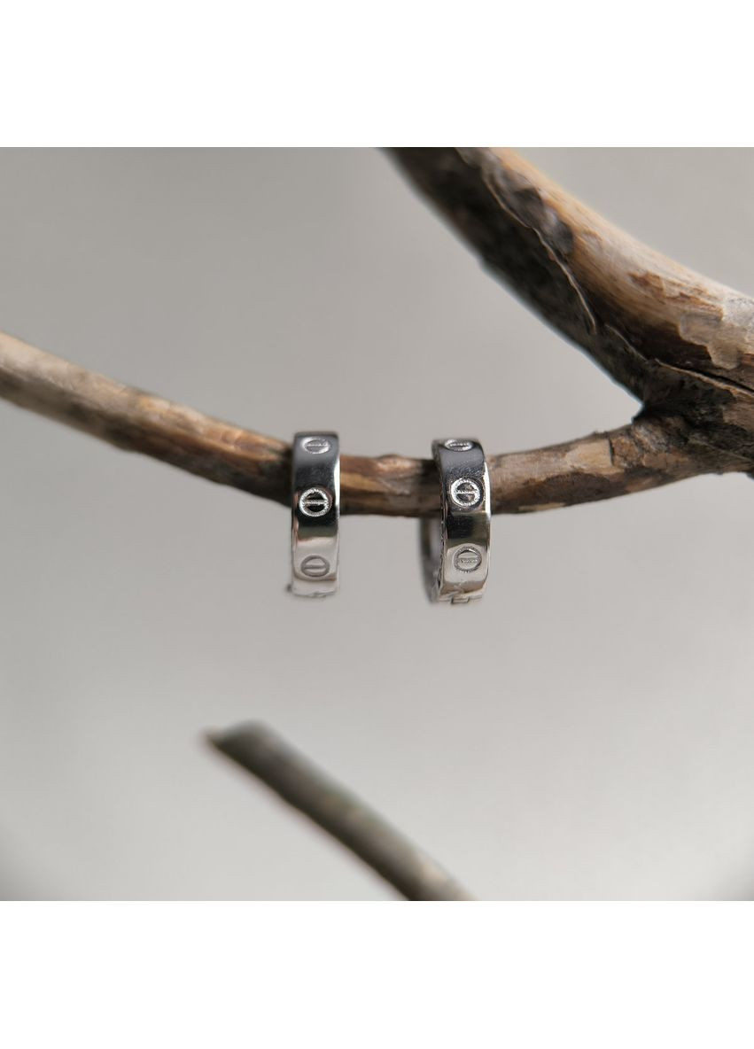 Сережки Silver Flame (381931843)