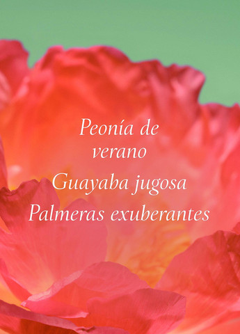 Подарочный набор (5 пр.) Victoria's Secret (369492145)