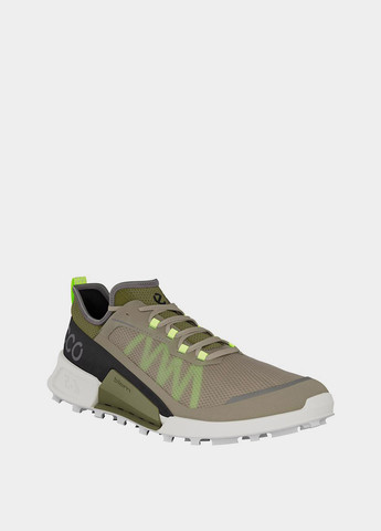 Хакі Осінні кросівки Ecco
