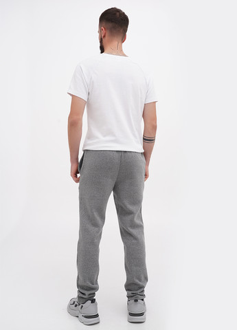 Серые спортивные, кэжуал зимние зауженные брюки Top of the World