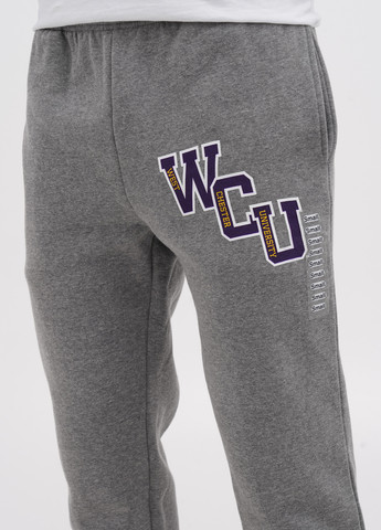 Серые спортивные, кэжуал зимние зауженные брюки Top of the World