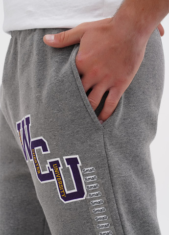 Серые спортивные, кэжуал зимние зауженные брюки Top of the World