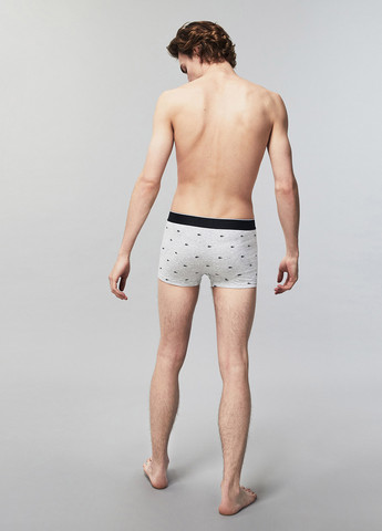 Труси (3 шт.) Lacoste (329059657)