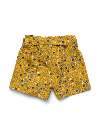 Шорти ArDoMi (225532181)