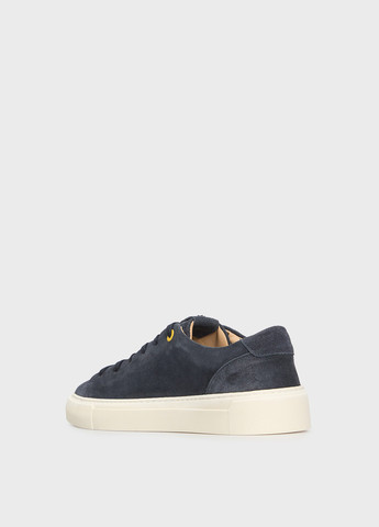 Серо-синие кеды Replay