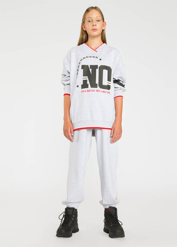 Светло-серые кэжуал демисезонные джоггеры брюки Reporter Young