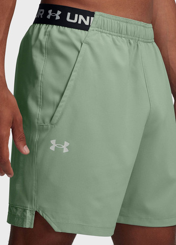 Шорты Under Armour (328001306)