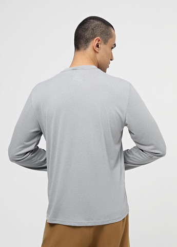 Светло-серый демисезонный спортивный, кэжуал лонгслив The North Face меланж