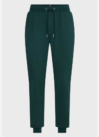 Темно-зеленые спортивные демисезонные джоггеры брюки Tommy Hilfiger