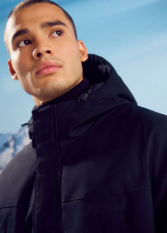 Парка Springfield (315624460)