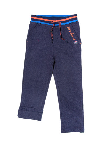 Синие спортивные демисезонные брюки прямые Little Marcel