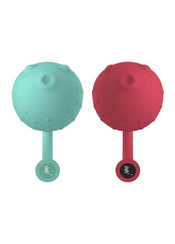 Вібратор Magic Motion (253091098)