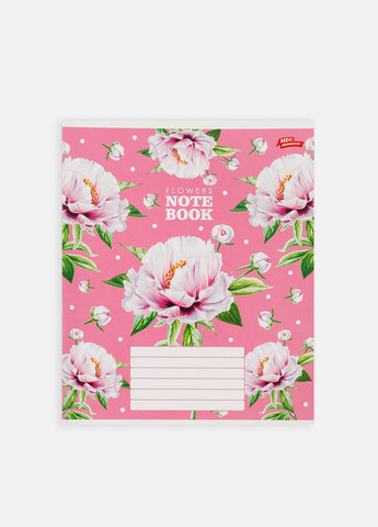 Тетрадь в линейку 18 листов Мрії Збуваються (319122197)