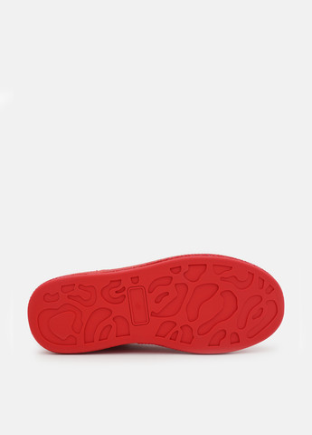 Красные кеды SP Lion