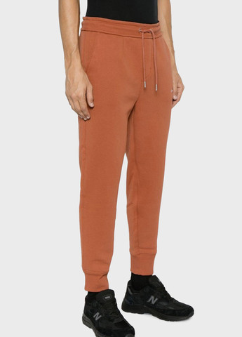 Светло-коричневые спортивные демисезонные джоггеры брюки Calvin Klein Jeans